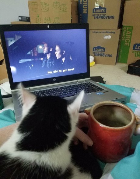 épouse infidèle onlyfans haute qualité gratuit images