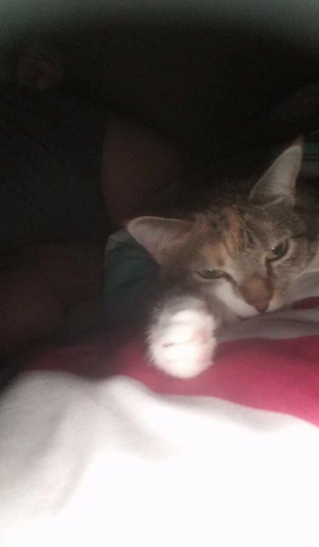 mamie milf onlyfans porno chaud photos