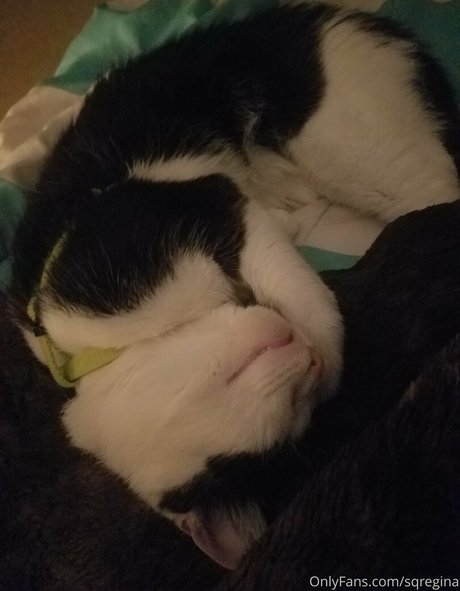 fans uniquement du dmv sexe des photos