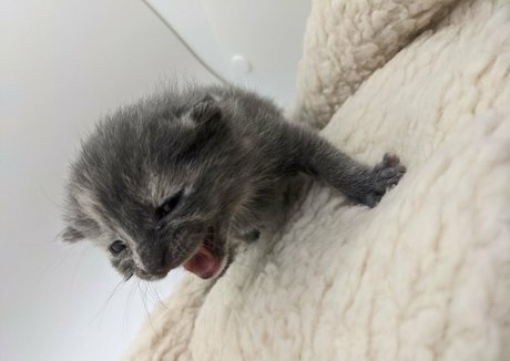 masturbation blonde uniquementfans beau sexe img