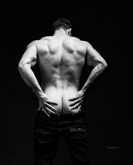 domluvsfree belle étoile collection