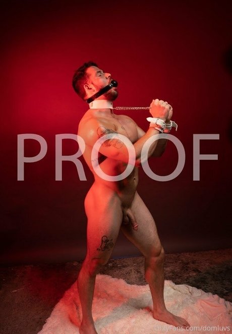 domluvsfree étoile exclusive des photos