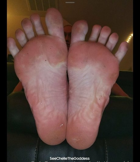 fans uniquement du dmv top magnifique galeries