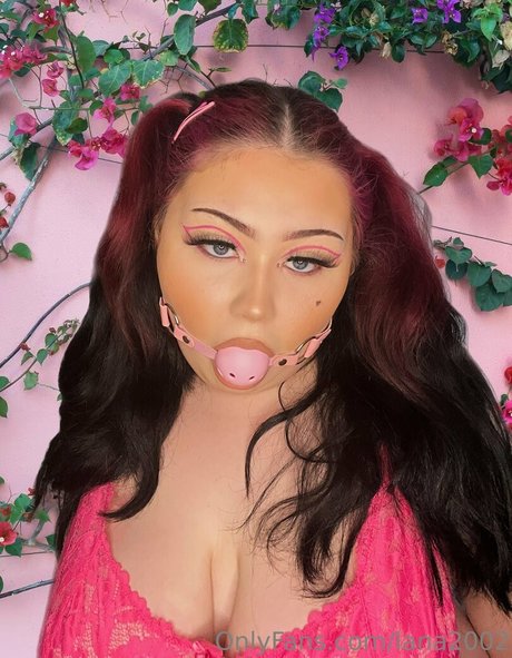 top 2024 des fans uniquement parfait meilleur collection