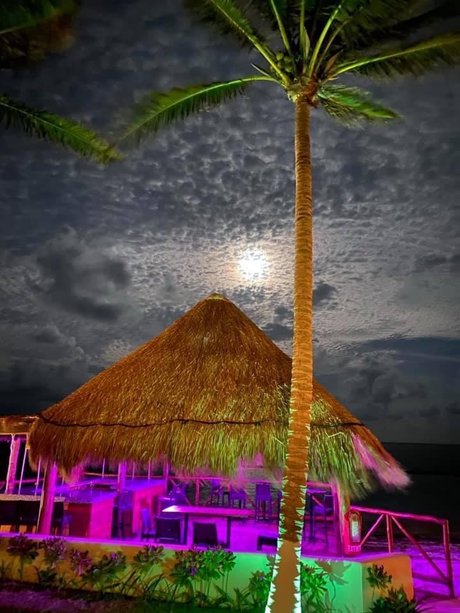 Mex4BBC star du porno exclusive galeries