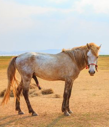 BigDickDaddy901 modèle joli photo