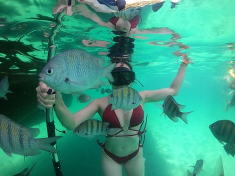 Miel modèle de sexe des photos