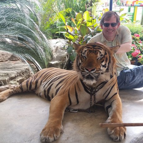 Midwest guy star du porno érotique img