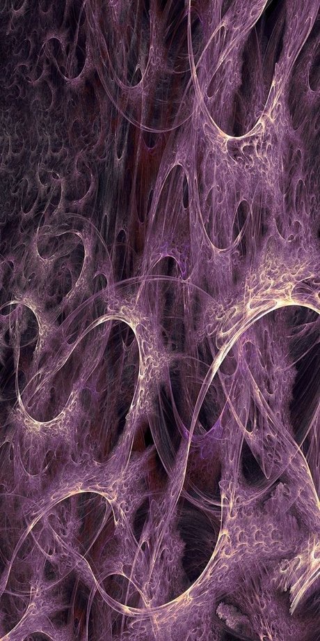 gros pawg onlyfans haut nu collection