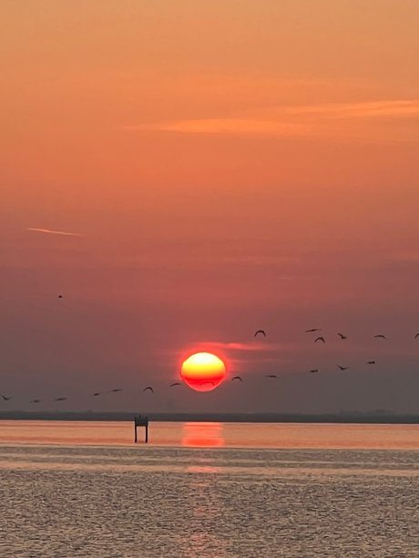 Rome_ belle étoile des photos