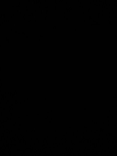 Bashk étoile parfaite archive