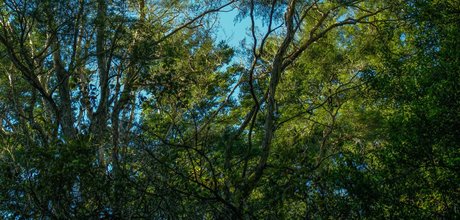 Chance Photography meilleur modèle photo