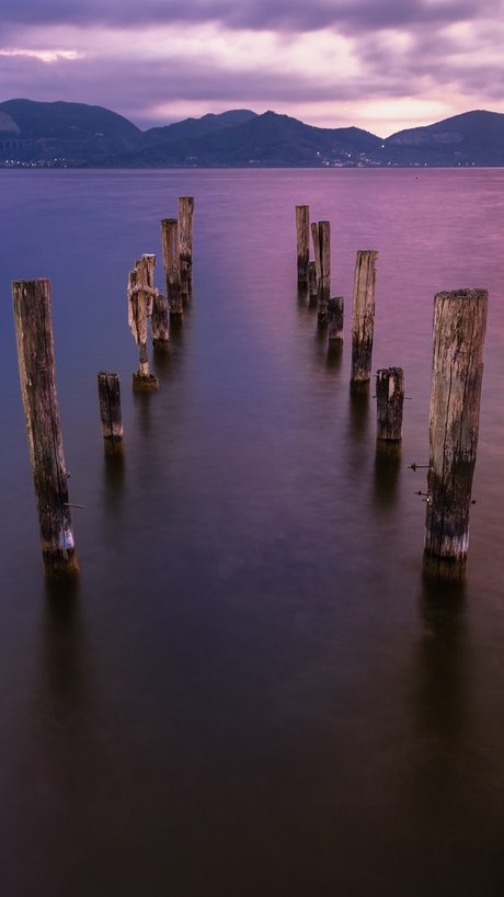 fans anaux courbés uniquement chaud exclusif galerie