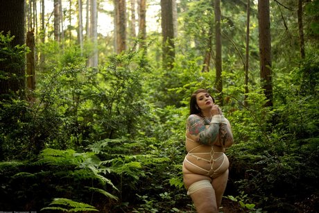 Missdebbiedarling modèle parfait collection