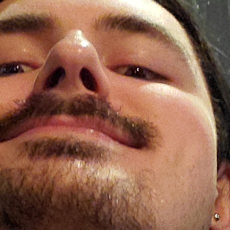 chaton potelé uniquementfans art chaud des photos