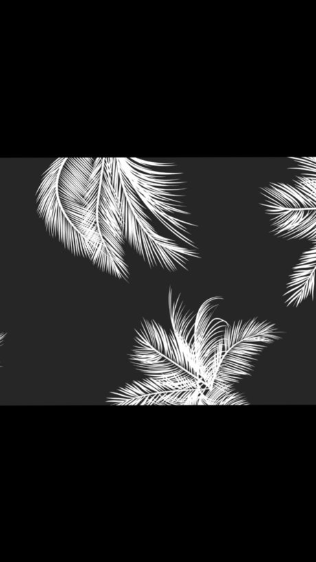 Mishamilu sexe star collection