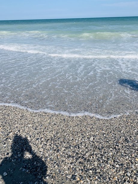 Phat Ass White Girl belle actrice galeries