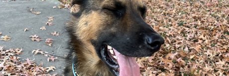 aerie_ star du porno parfaite images