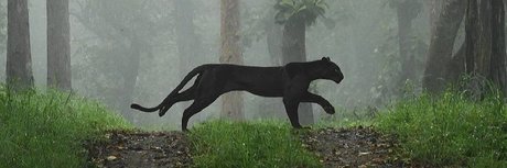 The Neighbor meilleur modèle images