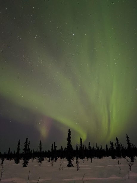 Hot Thots étoile de haute qualité images