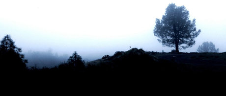 Jayjayjayx modèle magnifique photos