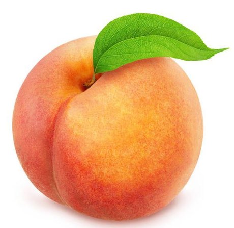 HugeFatBum meilleur modèle collection