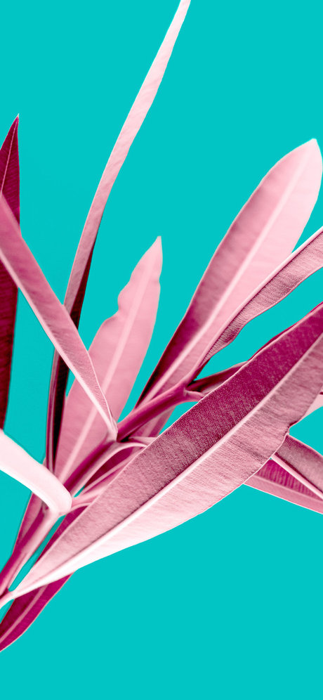 fans de star teen uniquement érotique parfait photo