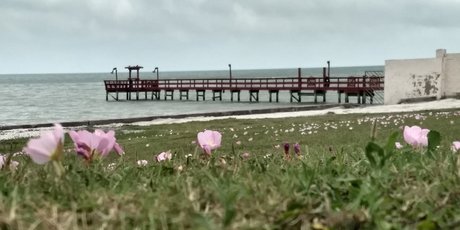 Mistwolfs modèle de sexe collection