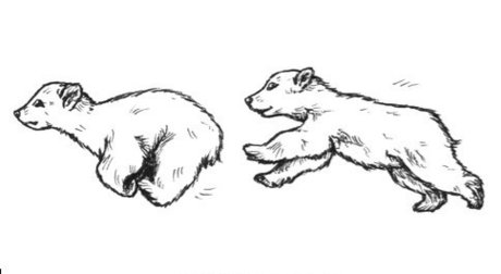 Morbo_ actrice de grande qualité photos