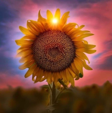 levrette pour adolescents uniquement jolie adulte galeries