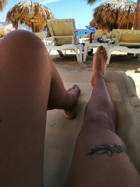 Mon Fig actrice de sexe photo