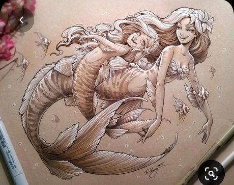 _MomeeStrong étoile adulte galerie