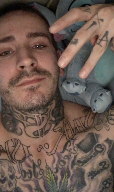 Mbrynes modèle galeries