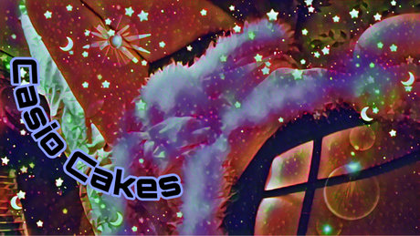 Casio LSDreamz modèle xxx galeries