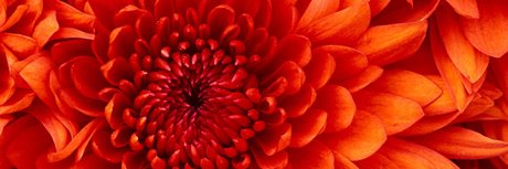 JennaLee modèle de haute qualité galeries