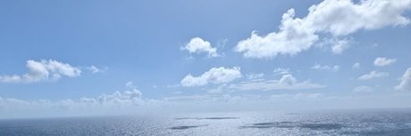 Moxaths étoile magnifique photos