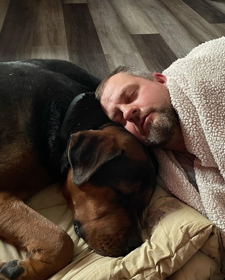 MovieHeroRyan actrice pornographique image