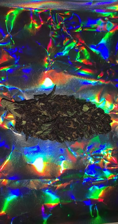 Alexander the Great joli modèle images