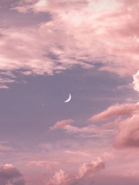 _ui star du porno galeries