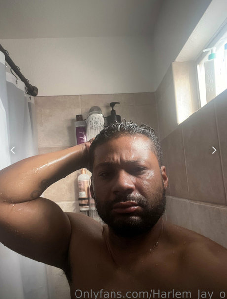 Joshua J Feldman jolie star du porno collection