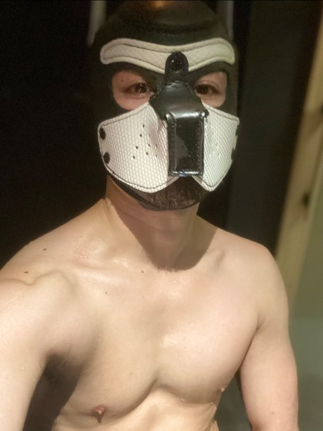 foccaseal jolie actrice img