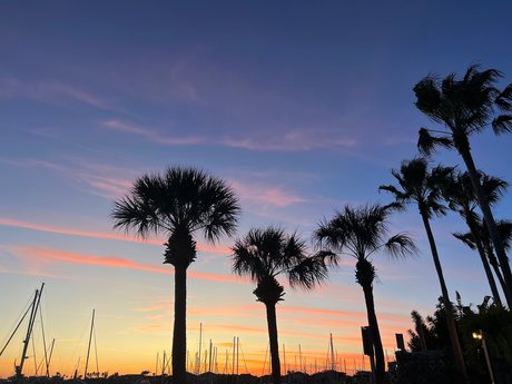 H A N N A H star du porno sympa galeries