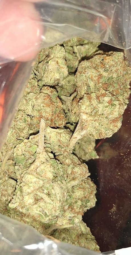 Mr Traditional beau modèle image