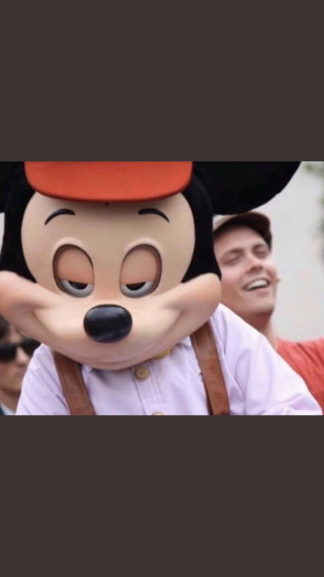 Longdingdongding étoile de l'art collection