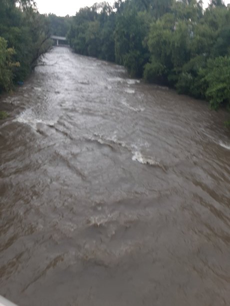MR LongMan meilleur modèle galeries
