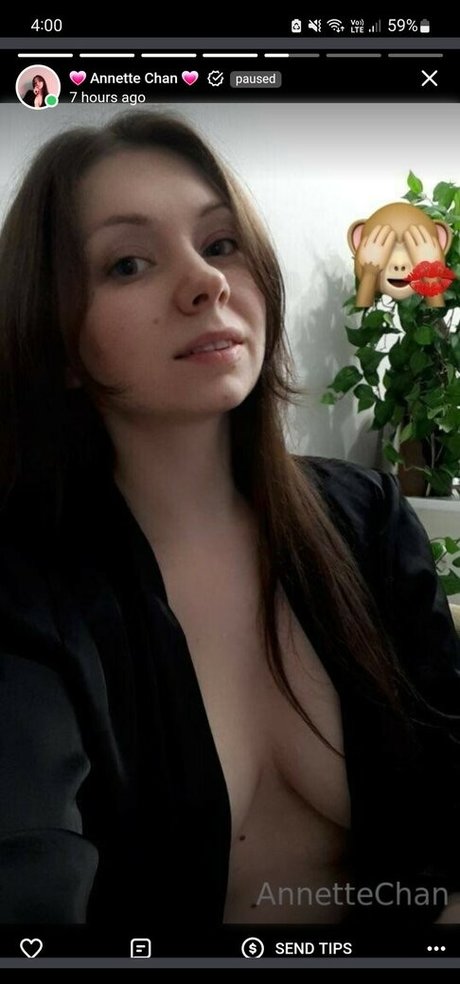 annettechan top star archive