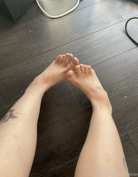 leyafalcon art de star du porno img