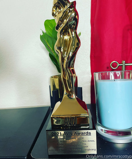 mrscottyp étoile magnifique img