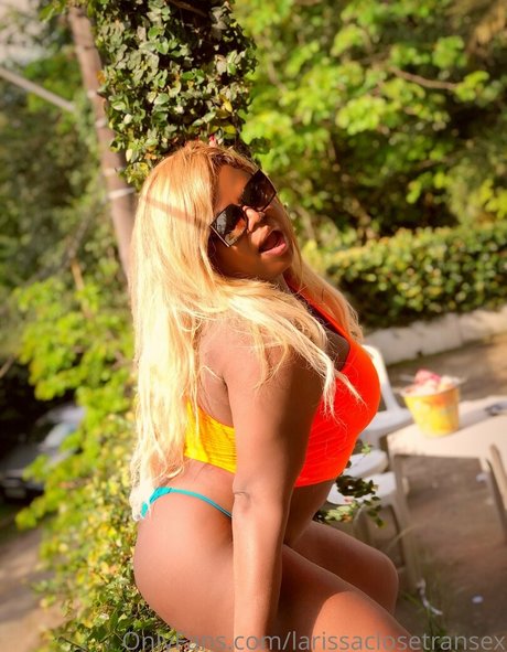 larissaclosetransex art modèle collection