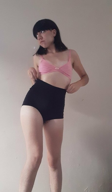 vivibush actrice libre archive